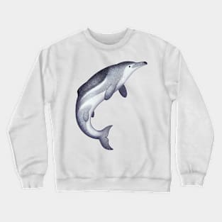 Cozy Dorudon Crewneck Sweatshirt